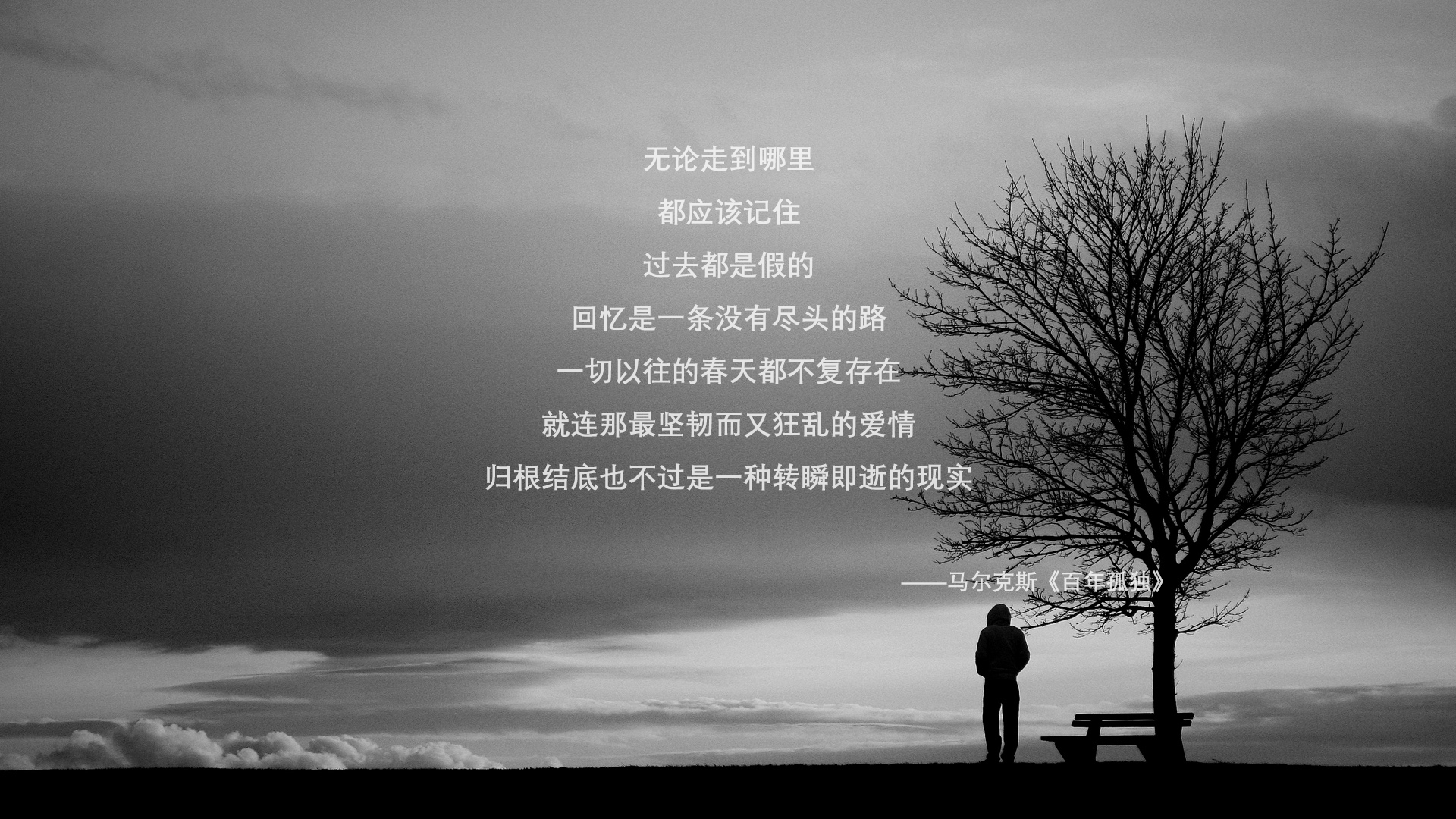 _红土之王归来:塞维利亚国际红土公开赛激烈角逐_,红土赛事有哪些