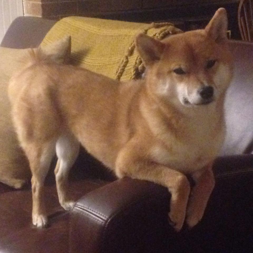 《深度解读:今年电竞比赛最令人难忘的瞬间》,今年的电竞比赛是什么游戏