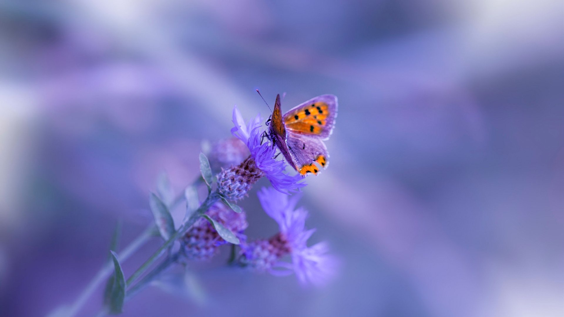 【比赛历史】最经典的逆转比赛背后隐藏的战术玄机,逆转获胜