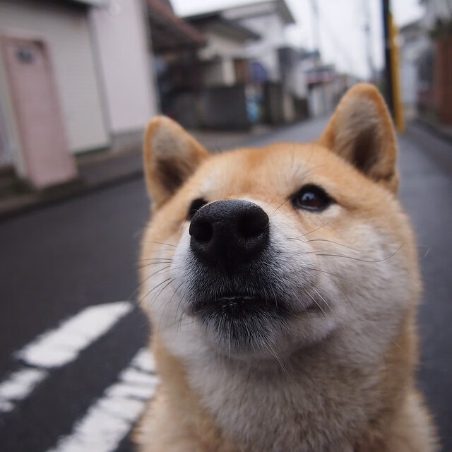 Kaiyun官方登录入口-中国篮球裁判队伍培训体系进一步完善，篮球裁判培训课程