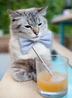 Kaiyun APP-史上最年轻“欧洲金靴”问鼎欧冠巅峰，最年轻的欧洲金球奖