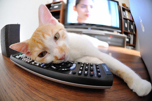 KAIYUN 中国大陆-小组赛“黑马”球队的奇迹故事，nba黑马球队