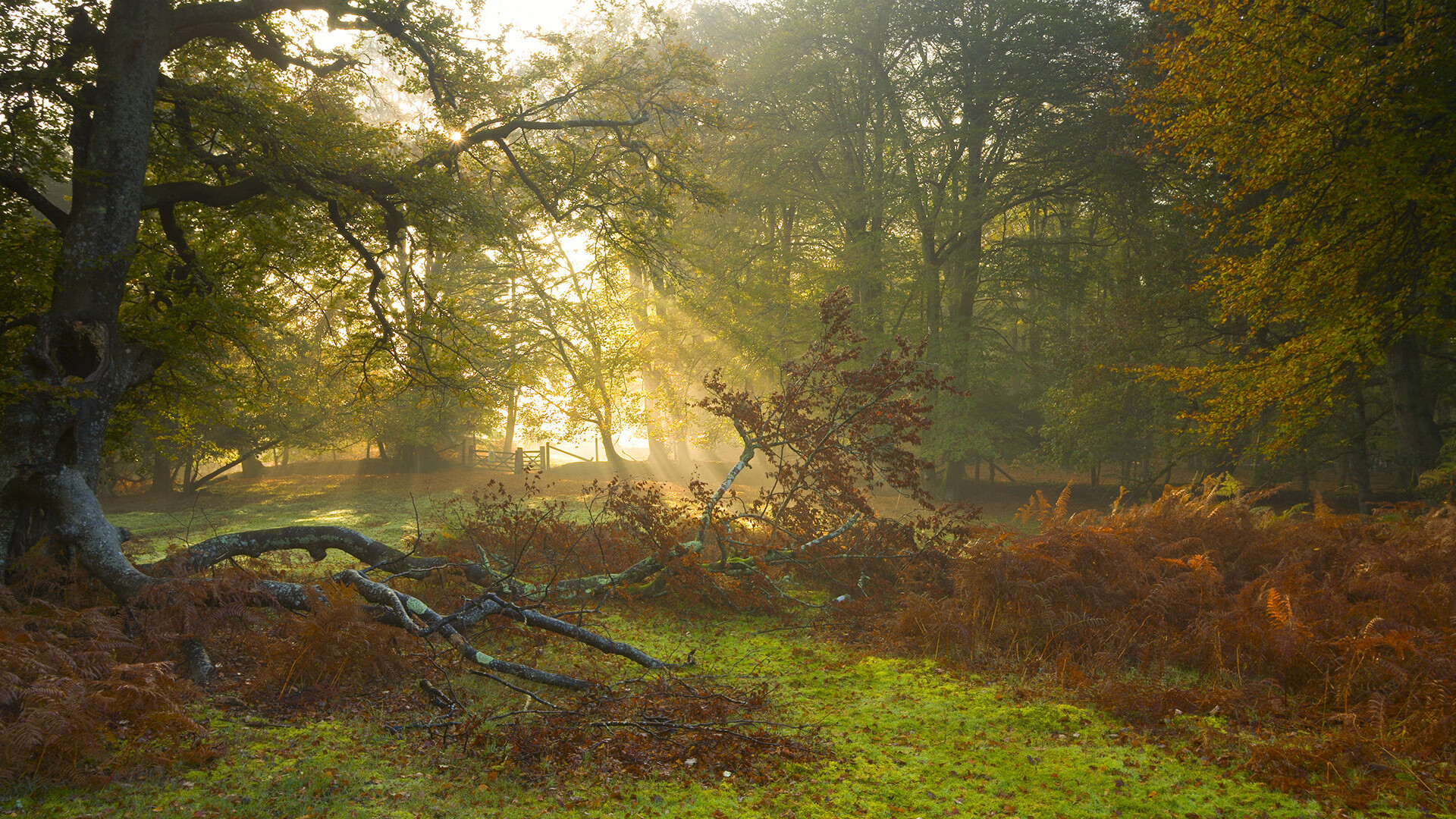 开云·Kaiyun网页版-布鲁诺·卡博克洛在巴黎奥运会小组赛中成为巴西队进攻核心，布鲁卡洛斯