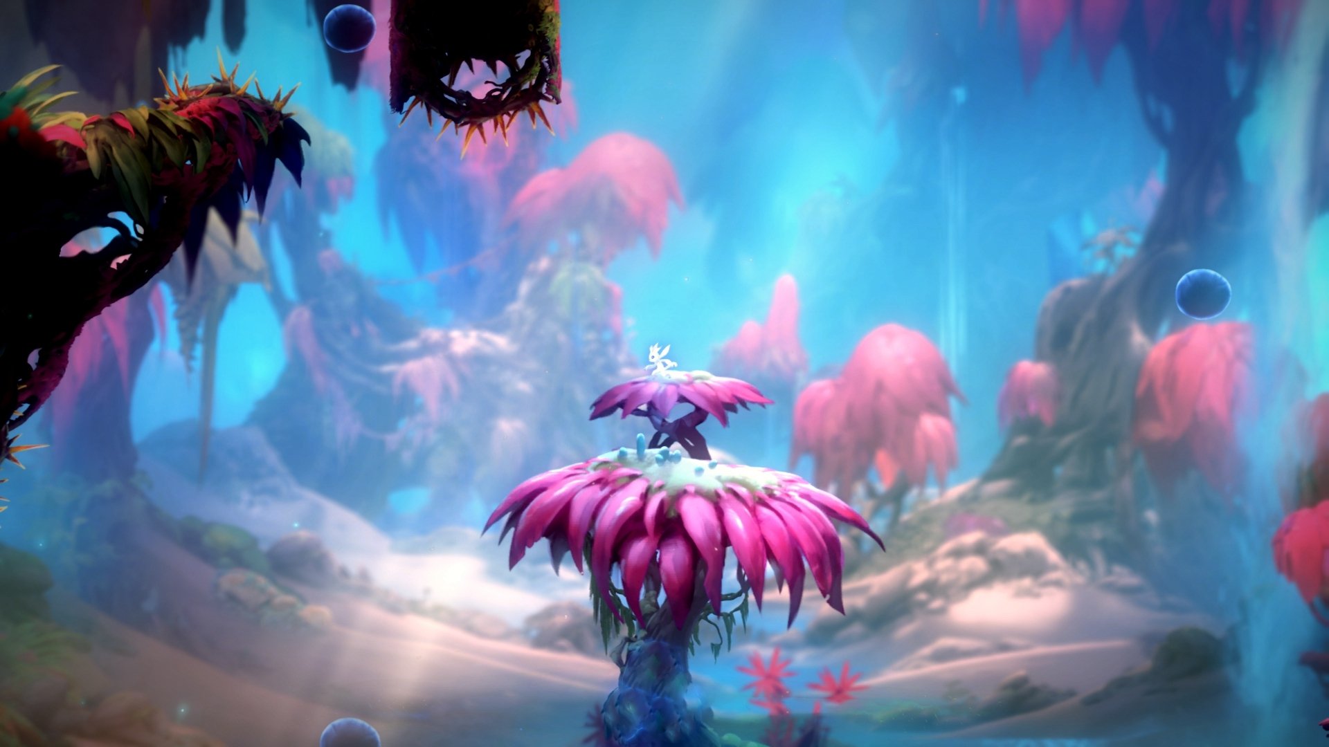 提前布局:车队如何应对未来比赛环境,车队未来发展的建议