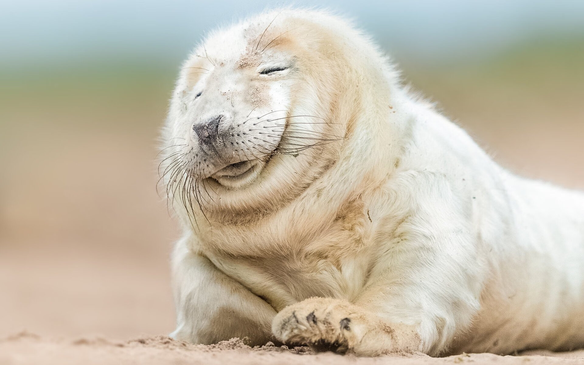 篮板攻防：北京篮板抢得48个，把握比拼主动权，篮板规则