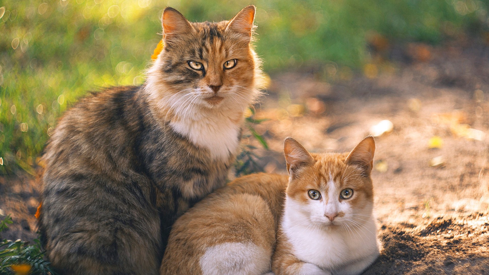 PSG.LGD明星选手动态追踪
