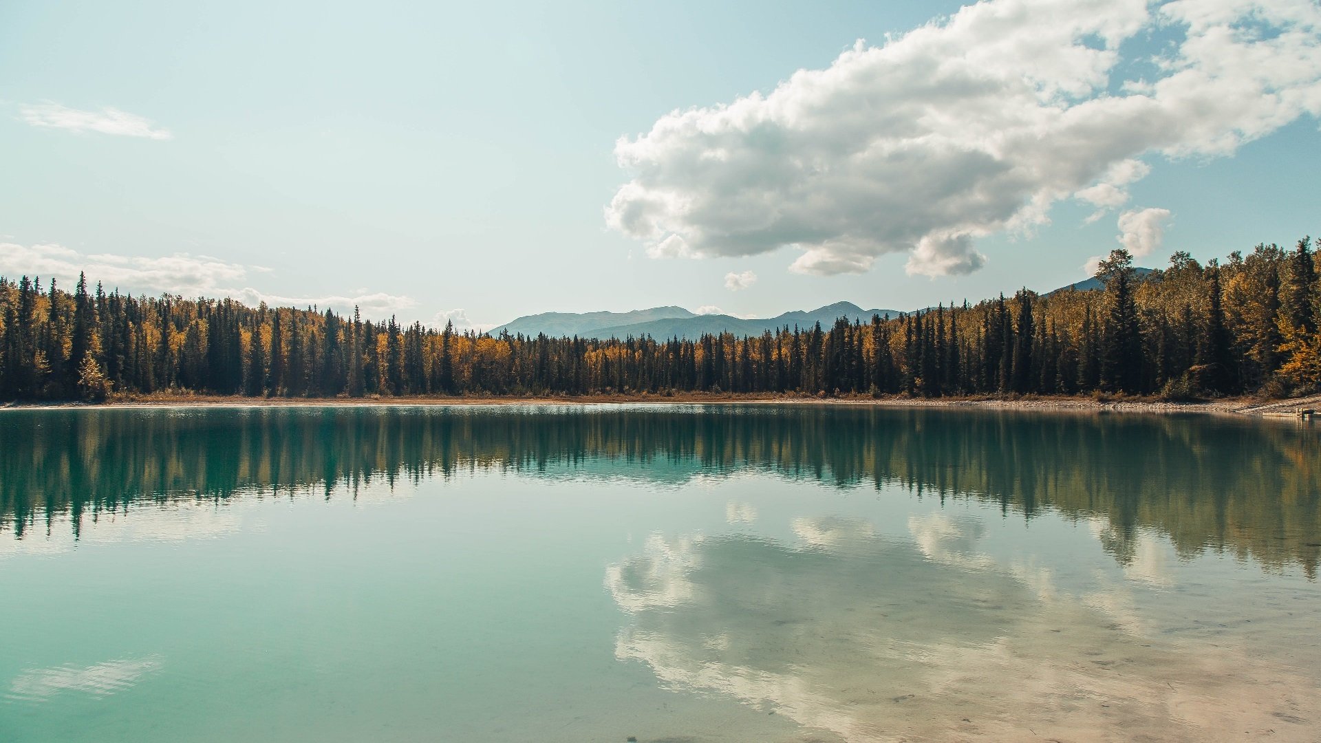 曼联0-1阿斯顿维拉,创最差战绩,曼联和阿斯顿维拉的关系