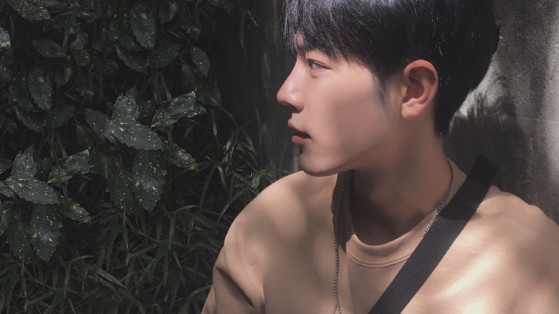 开云网页版-篮网组织严密配合默契再取胜，篮网_我们配合调查