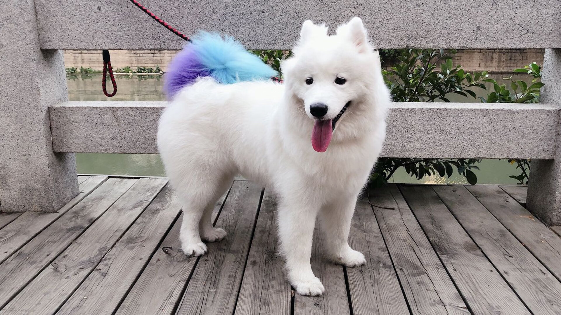 教学资源数字转型,数字化教学资源的生成与管理