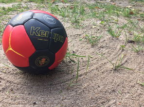 开云平台-“沙滩赛场燃爆天府新区，沙滩手球和合球上演极限对决”