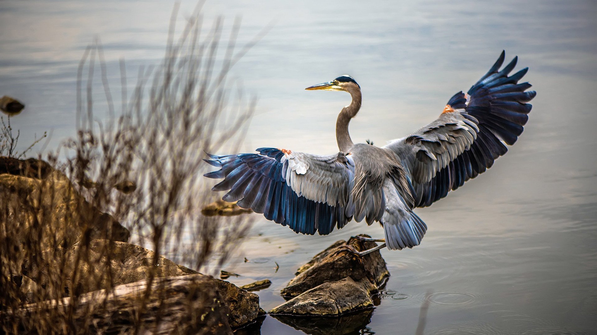 开云官网APP下载-中国男篮主力球员接受专项康复训练，中国男子篮球队训练计划