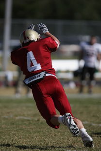 开云·Kaiyun网页版-利兹联爆冷击败排名靠前的球队，士气大振