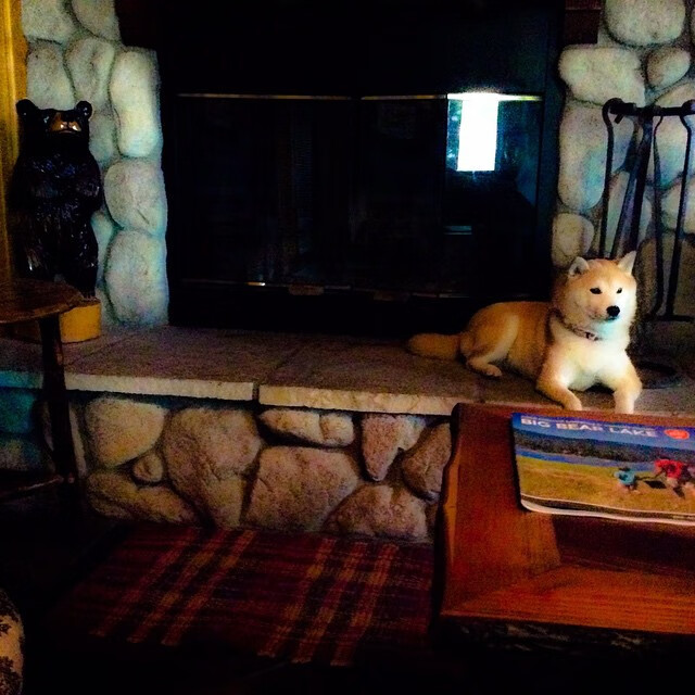 范奥特尔戴克赛后:已拼尽全力,范戴克集锦