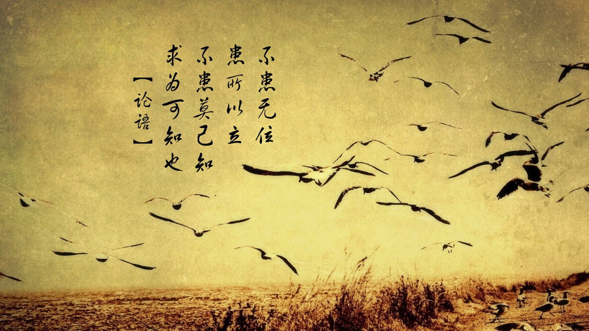 Kaiyun APP-谁是未来主力？英橄两队发展引热议，英格兰橄榄球国家队