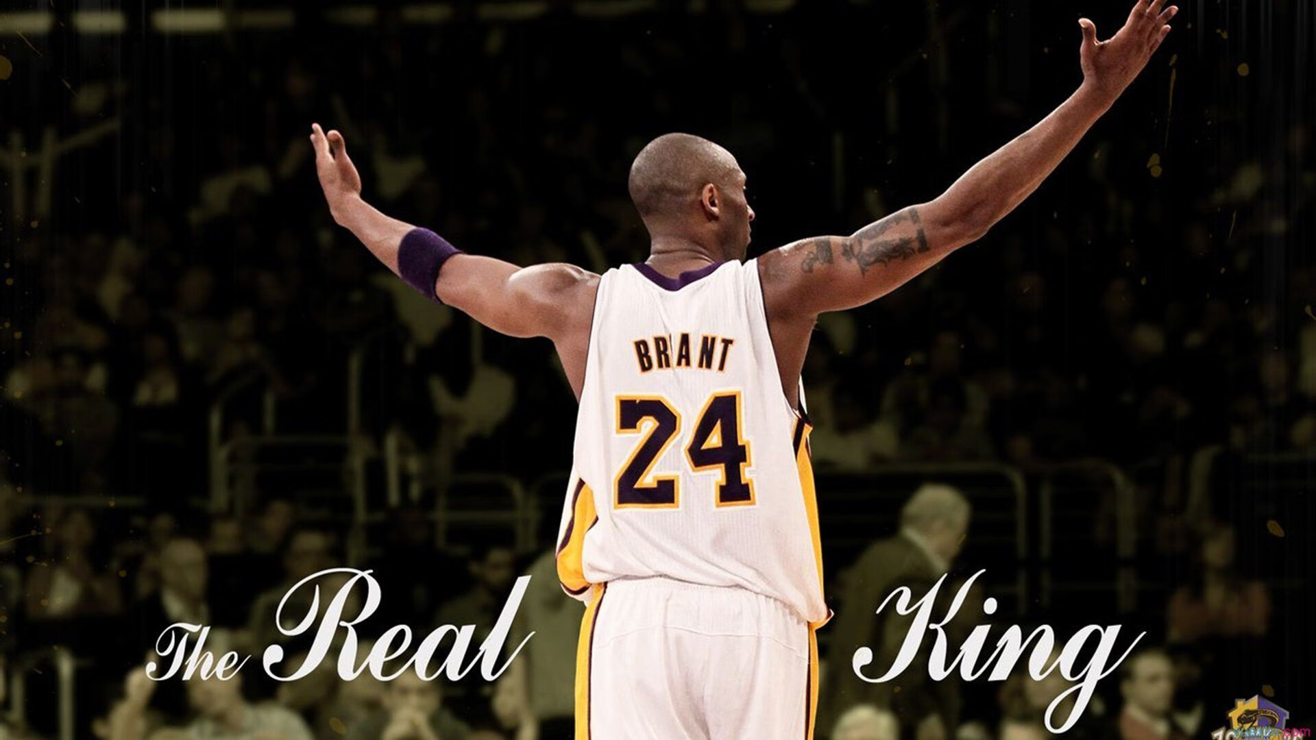 开云体育备用链接-中国篮球品牌建设为何无法出圈国际视野，中国篮球运动品牌